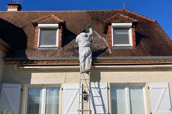 Démoussage de toiture